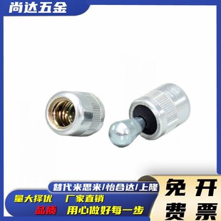 柱塞 ZAV51 52 53 61 62 63-D3 D5 D6 D8 D10 特别用途侧向定位销