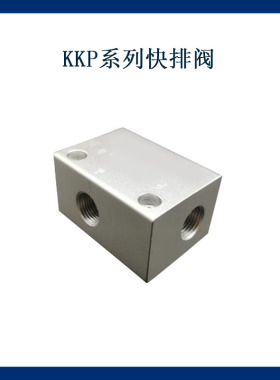 KKP系列 快速排气阀KKP--6/8/10/15/20/25快排阀