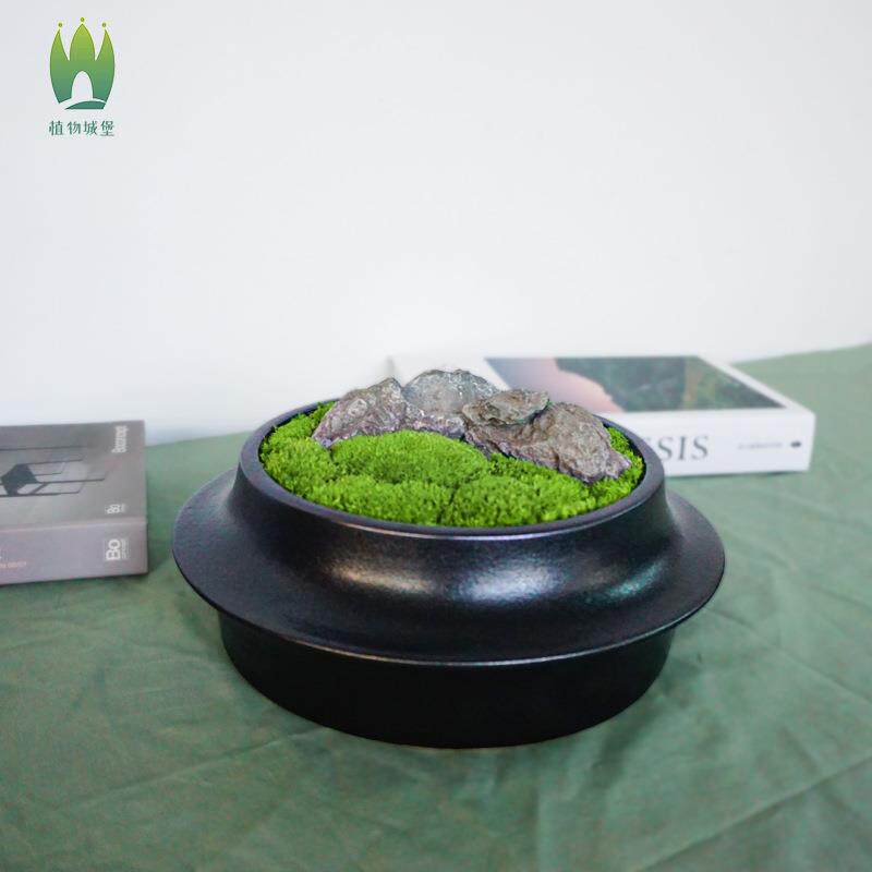 苔藓微观植物盆栽禅意桌面绿植盆栽日式青苔创意盆景新中式摆件