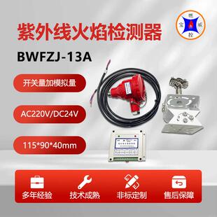 宝威燃控BWFZJ-13A回火炉火焰探测装置输出开关量加模拟量
