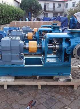 高粘度液体泵NYP110-RU-T1-W11泵配XWD11KW-6-7