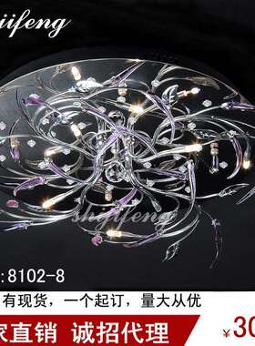 ceiling lamp灯现代简约艺术客厅餐厅吸顶灯创意个性家用灯具