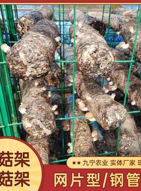 种植平菇出菇网格架绿色铁丝养殖网架养菌出菇网片香菇棒养菌架子