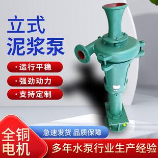 NSL液下泥浆泵立式渣浆泵2-6寸NSL100-28尾矿液下抽沙泵铸钢耐用