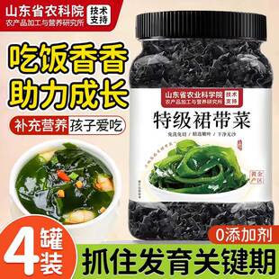 胖超市东来裙带菜干货特级儿童专用新鲜一级优质海藻丝海带苗婴儿