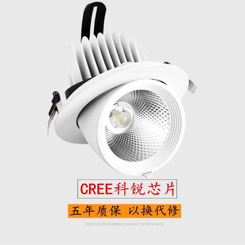 锐5w7w12嵌入式嵌入高显灯芯片花灯象鼻万象科ledcob客厅服装店灯