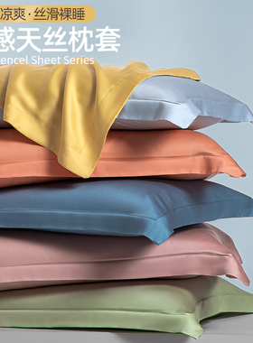 夏季天丝枕套一对装家用48cmyx74cm单个酒店整头内胆真丝枕头套男