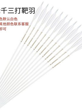 云刃纯碳箭碳箭真羽箭支纯碳白色C箭杆千三千六直度羽毛非战鸽云