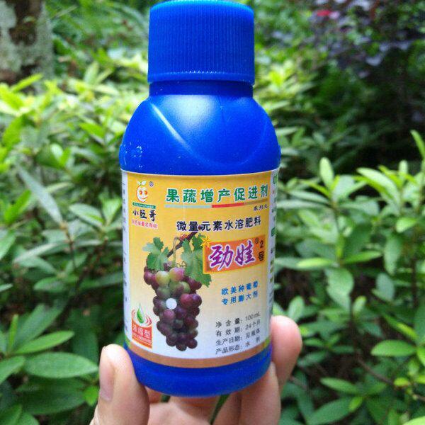 娃大膨膨旺哥劲剂不剂小核保软果素膨大葡萄果大梗去着色快调节裂