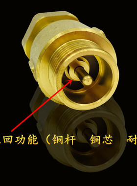 黄铜4分6分水表前伸缩活接止回阀内外丝弹簧止逆单向阀防自转接头