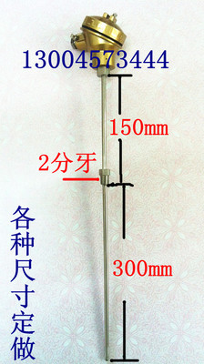WZP-230热电阻 热电阻 装配式热电阻 装配式温度探头 2分牙热电阻