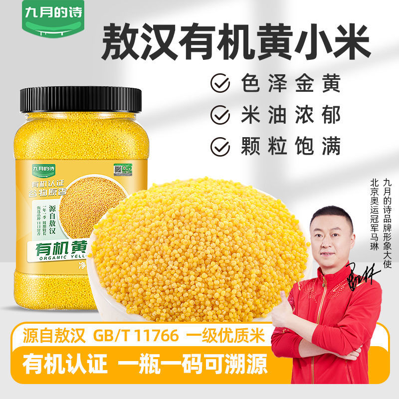 九月的诗有机黄小米色泽金黄饱满