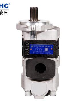 HCHC长源液压齿轮油泵 CBHY-G/F双联齿轮油泵 合肥长源液压双联泵