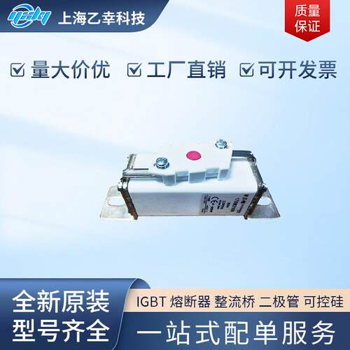 巴斯曼熔断器 170M2000 170M2001 170M2002 170M2003 170M2004
