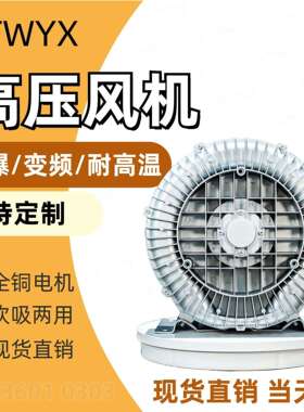 TWYX风机RB-43D-1 750w高压真空气泵 上料旋涡风机750W高压鼓风机
