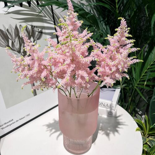 落新妇家庭水养新鲜切枝办公室室内瓶插花桌面观赏装饰节日礼物