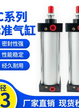 30标准SC0小型气缸25/30-*05550大推-20X12500力4060/06-50X1X1*0