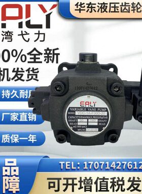 20/CC现货1A030DF4ALE/FF4 Y 弋力DF40叶片泵DC/F-2020V-/F0B/C-