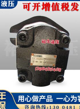 原装徐工压路-FK0250G8503CM机XBJ原厂--30-F2齿轮泵C42配件泵0
