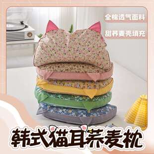 2024新款韩式全棉猫耳朵荞麦枕头硬枕芯纯荞麦壳护颈枕芯直播