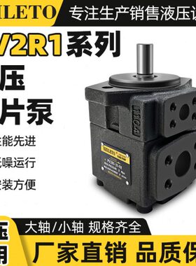 //428/1通台湾/V2-F//1236237/1叶片泵R14/P-258/19凯/10/R1利