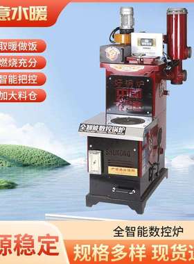 红色数控炉懒汉地暖锅炉 家用取暖燃煤烧柴锅炉 暖气小型数控取暖