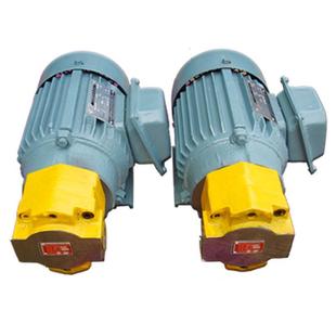 B16 置BB DJZ内插摆线转子齿轮油泵电机组 直插式 电机装