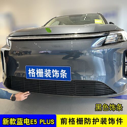 蓝电E5plus中网外观改装防虫网前格栅专用防护网装饰汽车用品配件