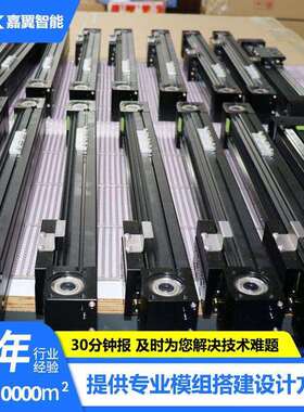 直线电机模组 线性马达光栅磁栅精度高全封闭直驱电机厂家RYK