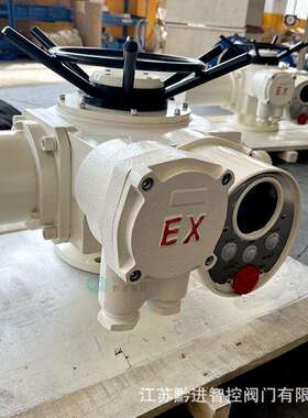 DZW60防护等级IP68防爆等级Exd II BT4电源电压AC380V开关型ZB60