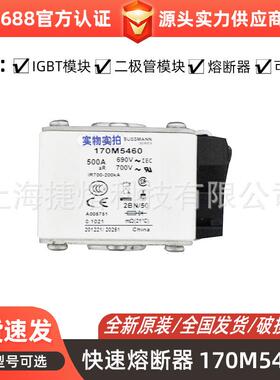 170M5460 170M5462 快速熔断器 保险丝 电子元器件 量大价优