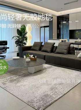 无胶美式简约地毯客厅高级轻奢茶几毯北欧风抽象床前毯卧室耐脏毯