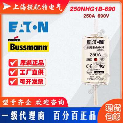 250NHG1B-690 熔断器 690V 250A 巴斯曼BUSSMANN熔断器