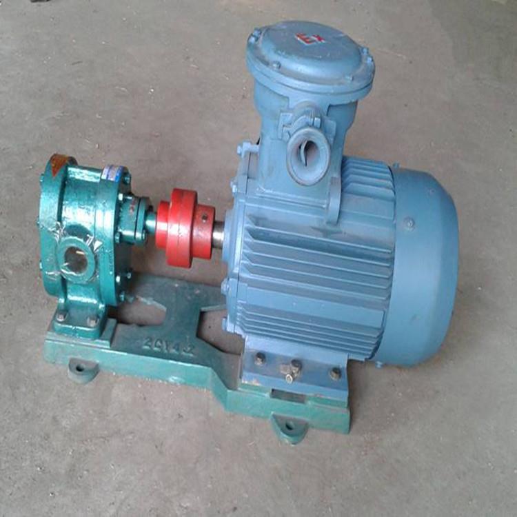 供应高粘度泵2CY-58/0.28系列齿轮泵高压力抗磨损不锈钢热油泵