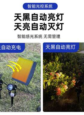 一拖二太阳能灯户外庭院地插草坪射灯 光控花园室外LED插地灯