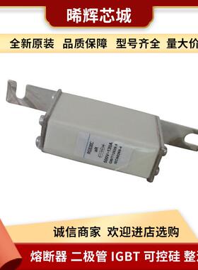RGS30C aR 500V/100A 10A 120A 15A 型号齐全快速熔断器标准封装