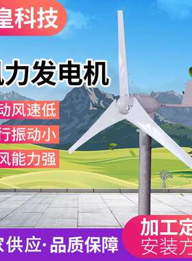 盛皇科技小型水平轴SH-A型500W600W24V48风力发电机 家用牧场