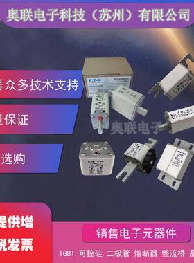 170M1318 170M1319 170M1320 170M1321 170M1322巴斯曼熔断器保险