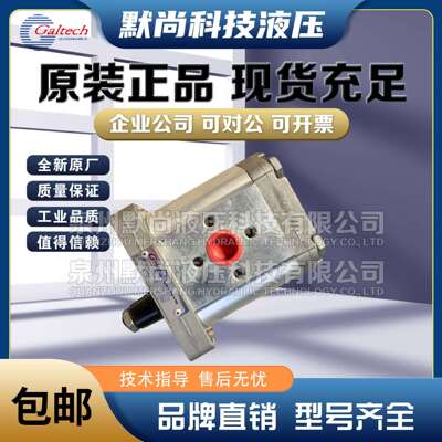 高泰克Galtech齿轮泵2SP160/190/220/260/310-D-EUR-B-N-10-0-G泵