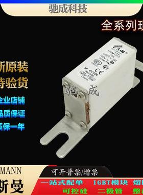 巴斯曼170M1310 170M1311 170M1312 经销直销价优 快速熔断器