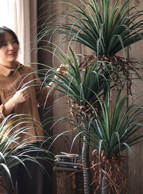 龙血树仿真绿植装饰盆景s大型仿生假树植物盆栽室内酒店橱窗摆件