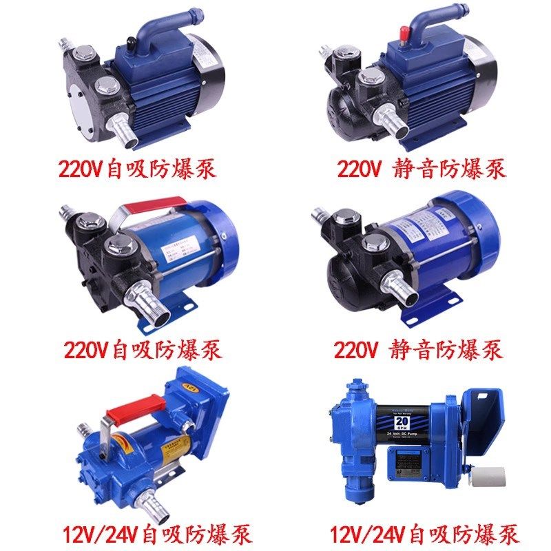 防爆抽油泵倒油泵k12V24V防爆泵220V汽油泵一寸防爆汽油抽油泵