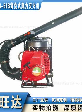 6MF-23-51B背负式风力灭火机落叶清理吹风机不锈钢喷口除尘吹雪机