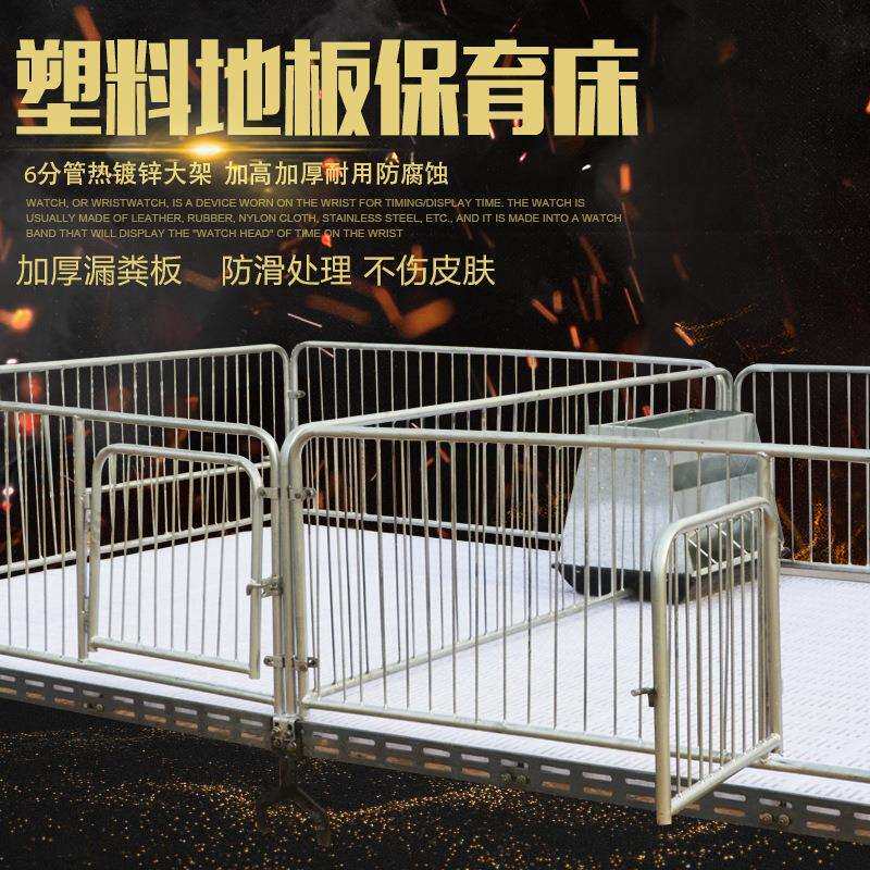 养猪的保育床塑料漏粪板小猪保育床猪仔保育床双体保育床厂家直销