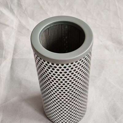 汇联瑞纳滤芯/ML.450.10VG.30.E.P-G.5.-S2.AE50