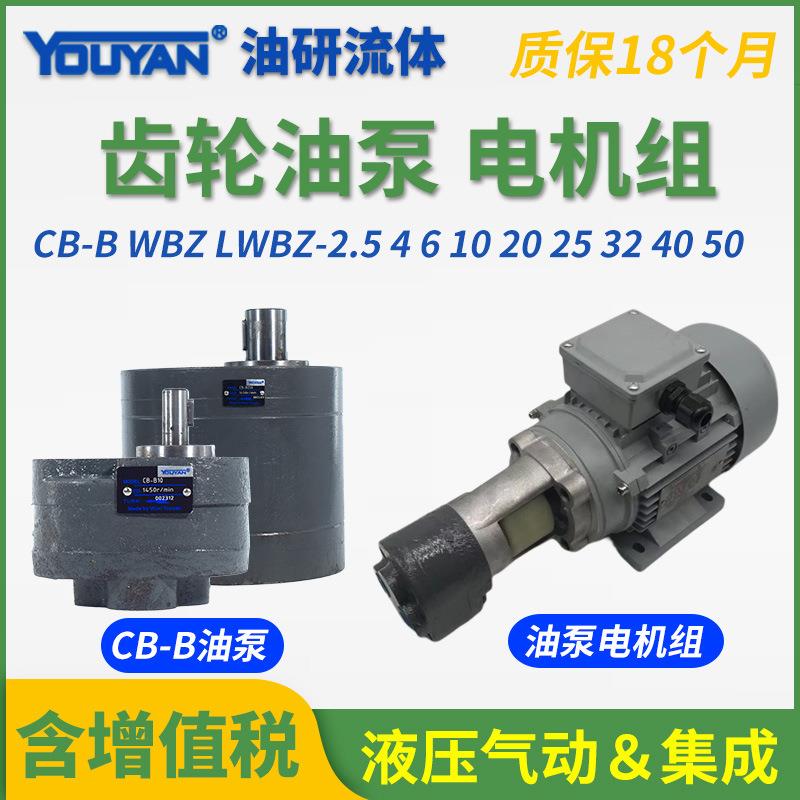 LWBZ齿轮泵CB-BM液压CB-B10油泵6/4/16/20/25/32/40/50/63/80/100