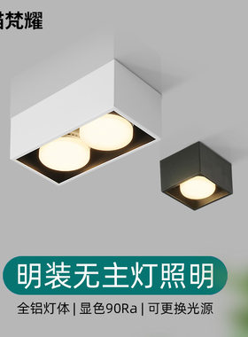 明装筒灯客厅无主灯照明双头斗胆灯格栅灯Iled射灯玄关过道吸顶灯