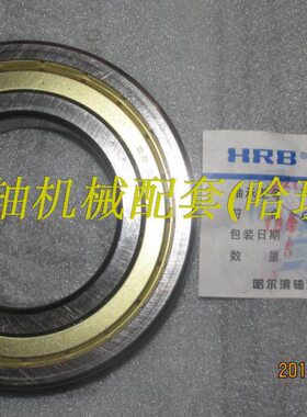 20 6720213 轴承62 2106  轴承2119哈尔滨轴承216866R ZZ620Z