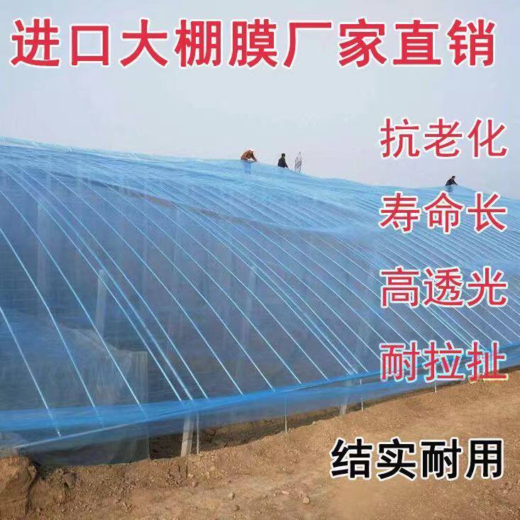 整卷大棚膜PE加厚塑料布高透光蓝色无滴膜塑胶布葡萄避雨棚