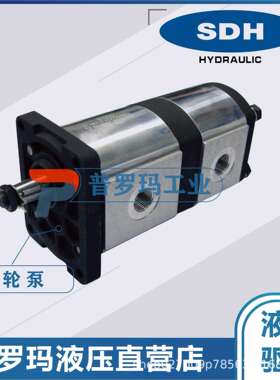 SDH齿轮泵液压泵双联油泵CBT-F312F84/21.1F4Z5 CBT-F31F84/21.8F